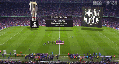 尤文vs卡利亚里：弗拉霍维奇、伊尔迪兹首发，佩林出战